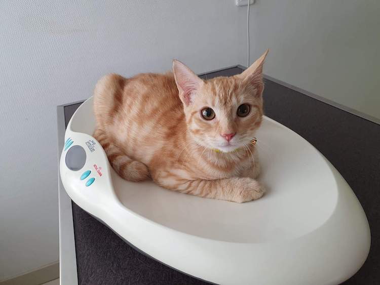 02f1dc2170a7cc3b2b6e0fee56a31060.0