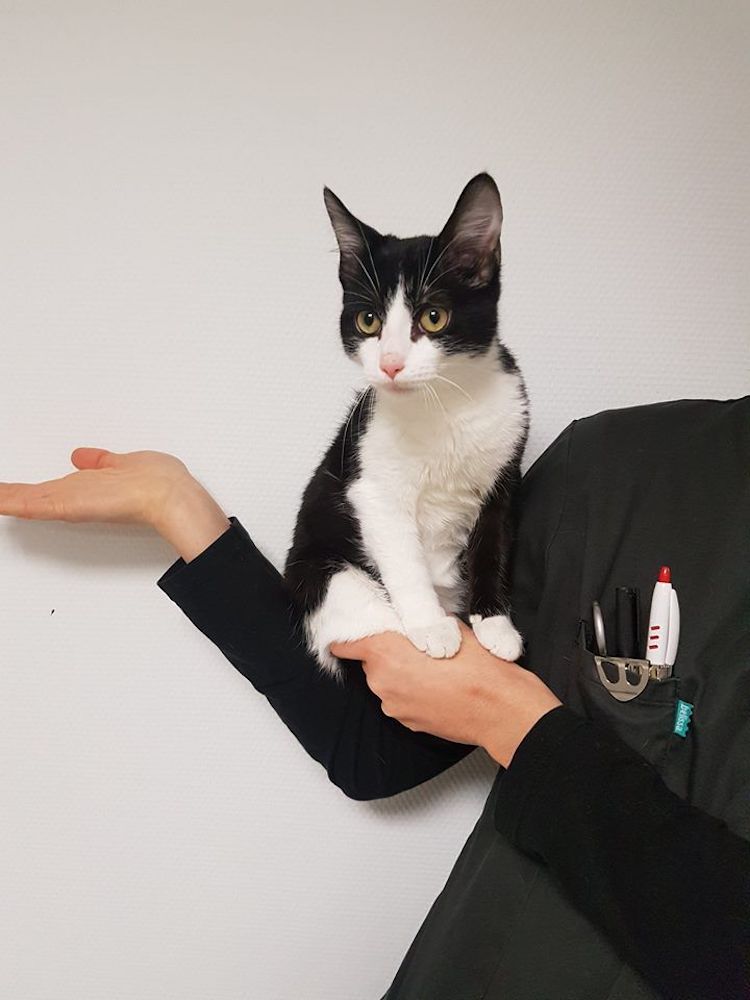 15841600_10211739422346817_28062753_n