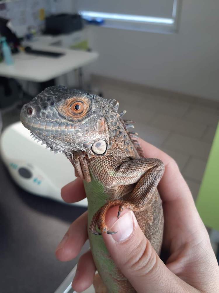 FB_IMG_1664837559337