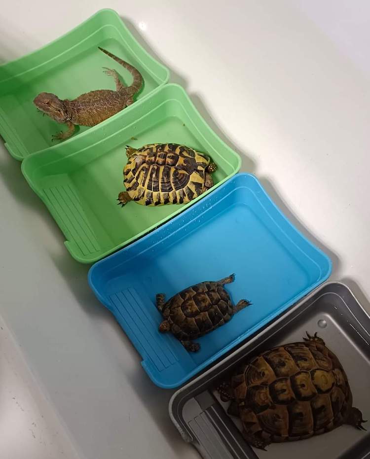 FB_IMG_1665317466796