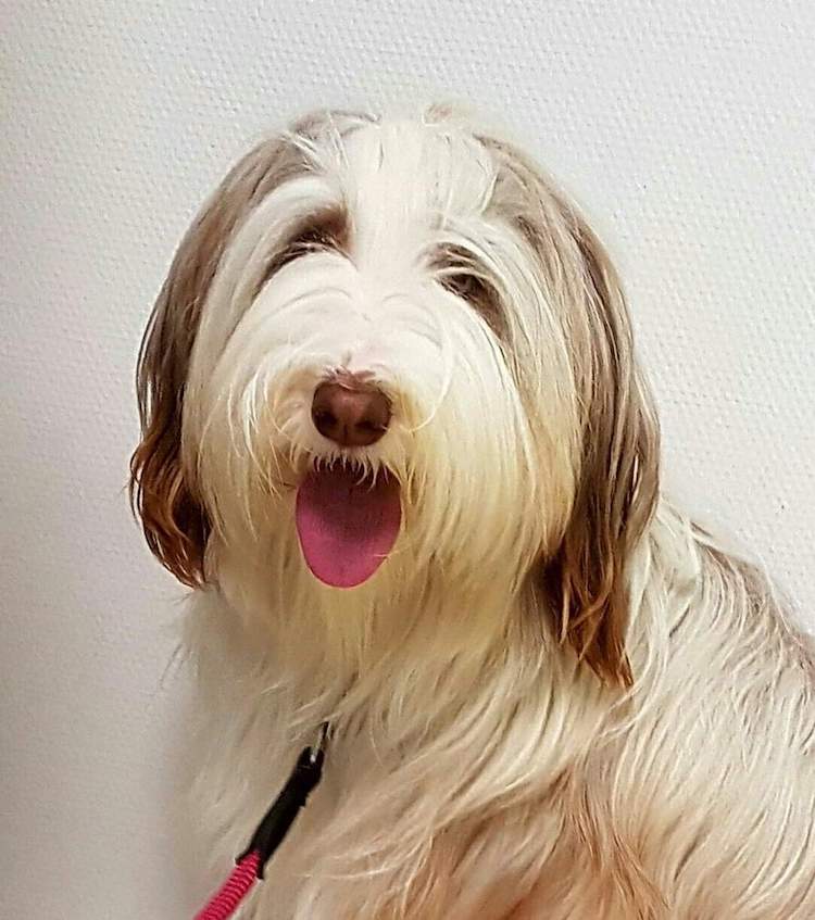 FB_IMG_1673176867373