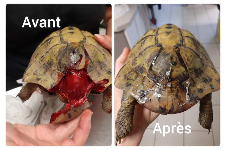 GridArt_20221009_140811342