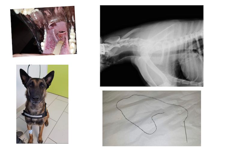 GridArt_20221009_223219888