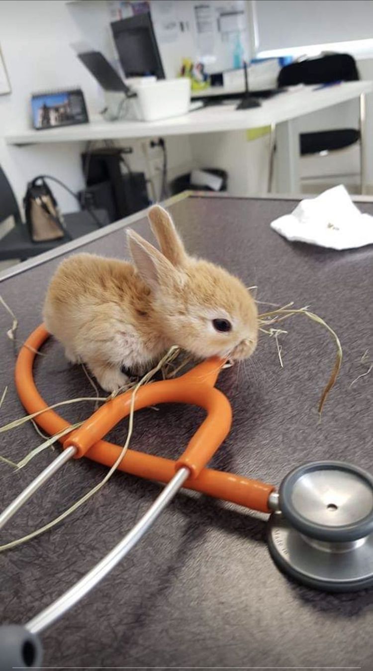 Screenshot_20221004_005741