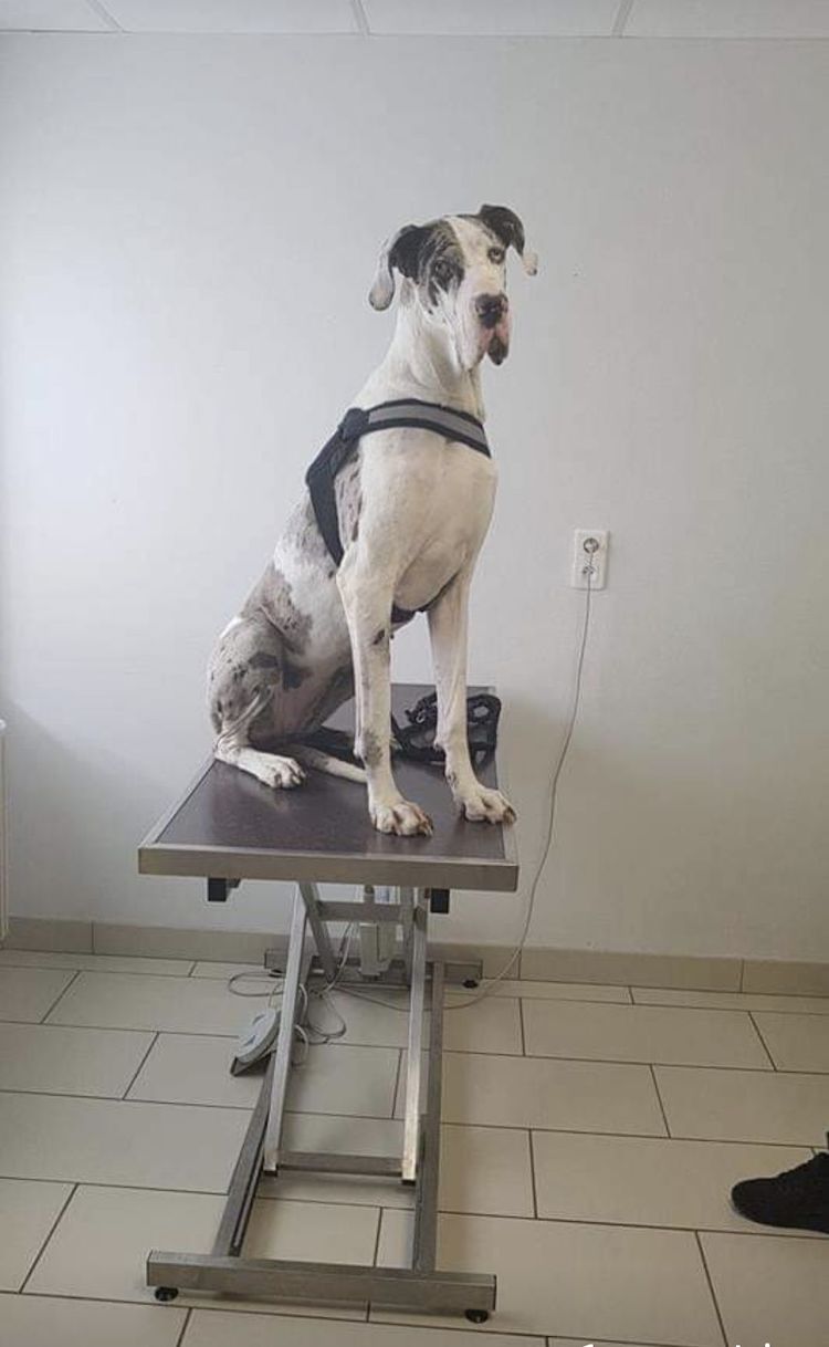 Screenshot_20221004_005947