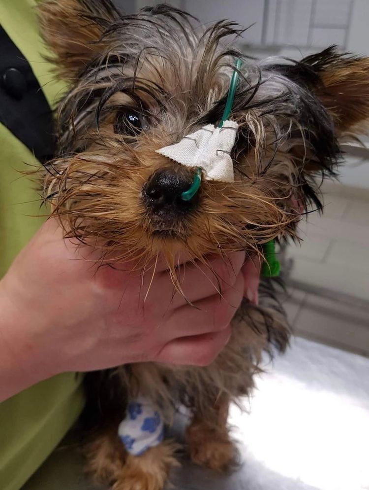 Screenshot_20221009-222329_Facebook