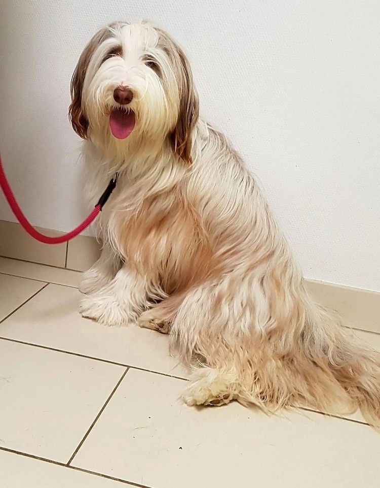 Screenshot_20221009-222353_Facebook