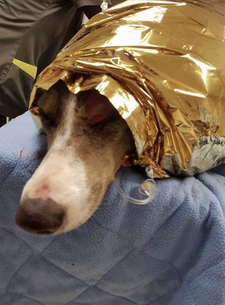 Screenshot_20221009_220909