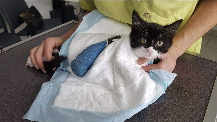 Screenshot_20221009_221410