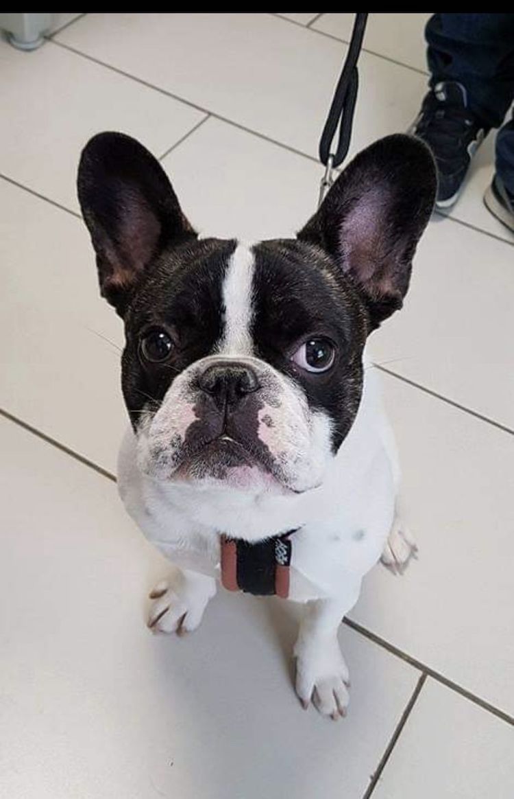 Screenshot_20221009_221934