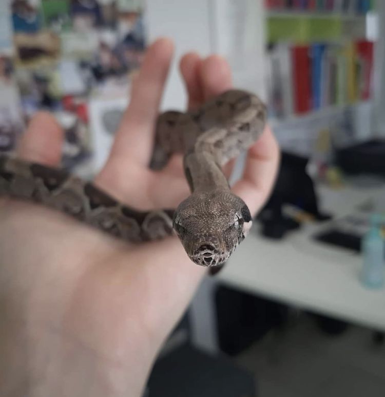 Screenshot_20230108_122413_Facebook