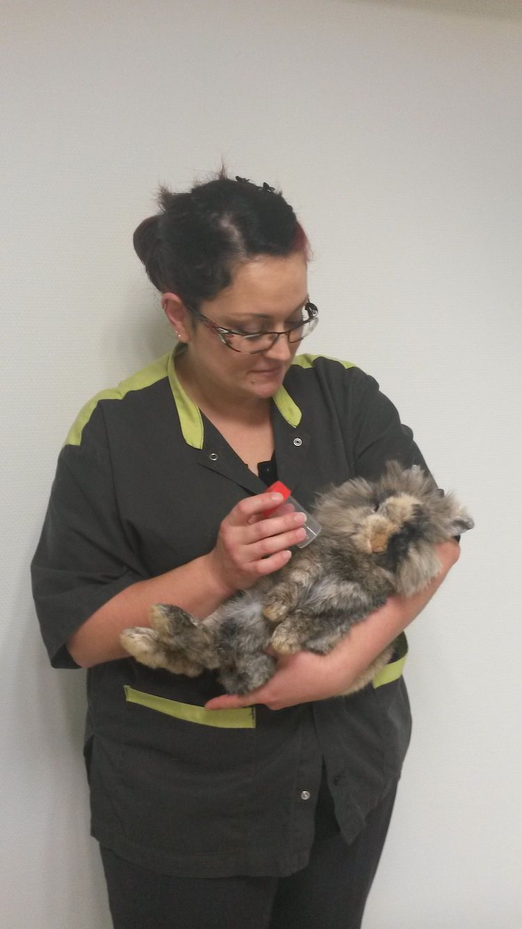 20161108_143710-e1481627758690