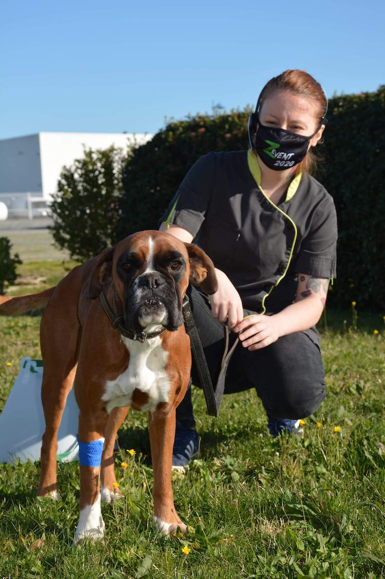 25be05198df56086711fa7d8001b3a6f.0