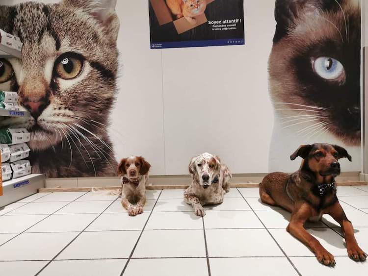 FB_IMG_1664837759757