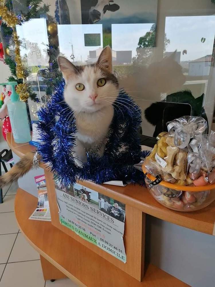 FB_IMG_1664837765911