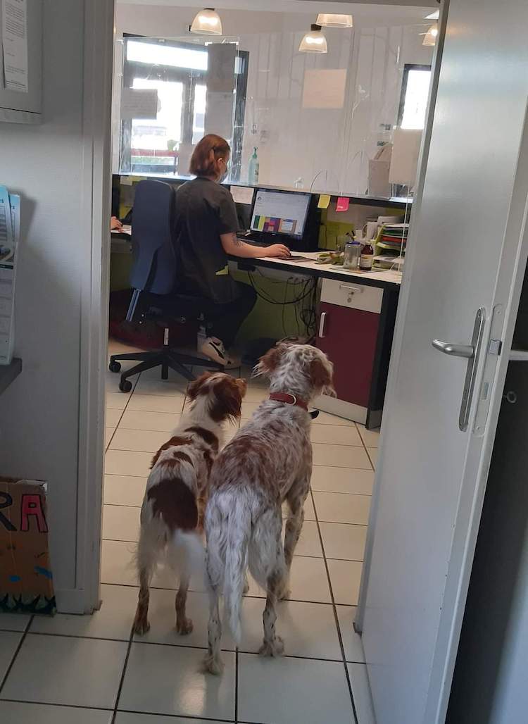 FB_IMG_1665345974071