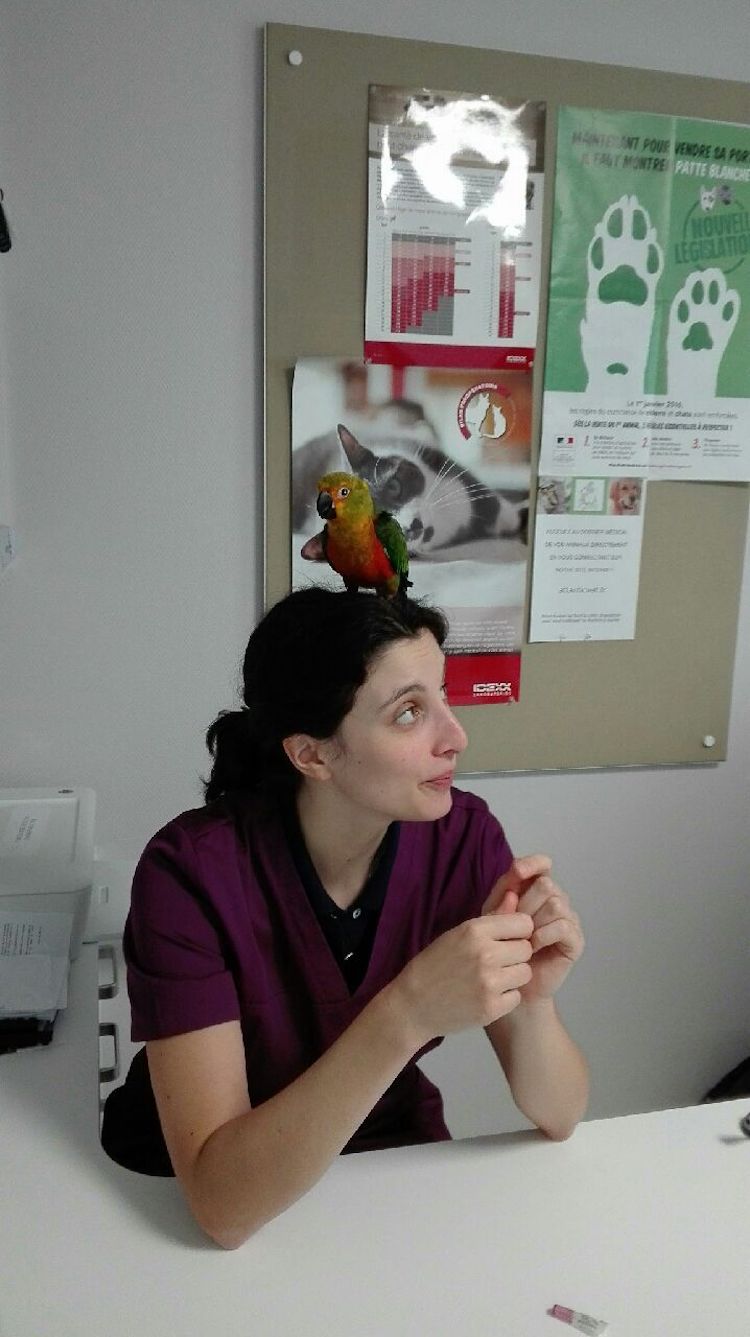 Resized_received_16912162076021031