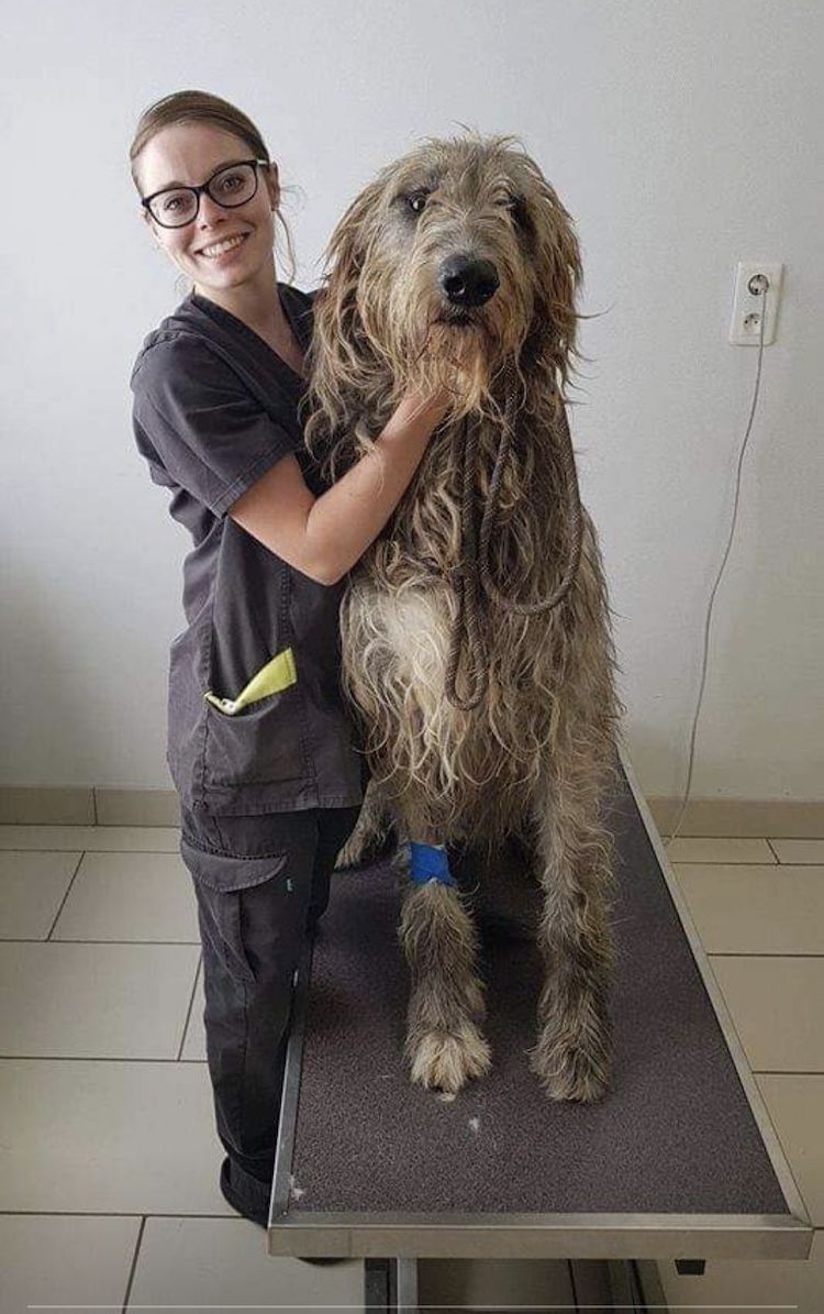 Screenshot_20221009_221607