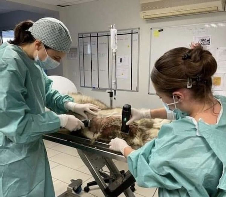 Screenshot_20230108_122448_Facebook