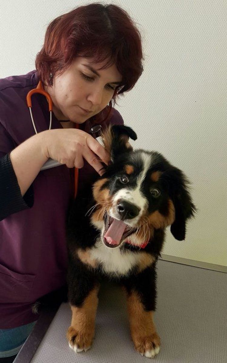 pascaline morphine oreille